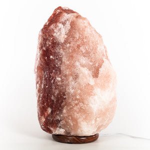 900lbs  Himalayan Salt Lamp